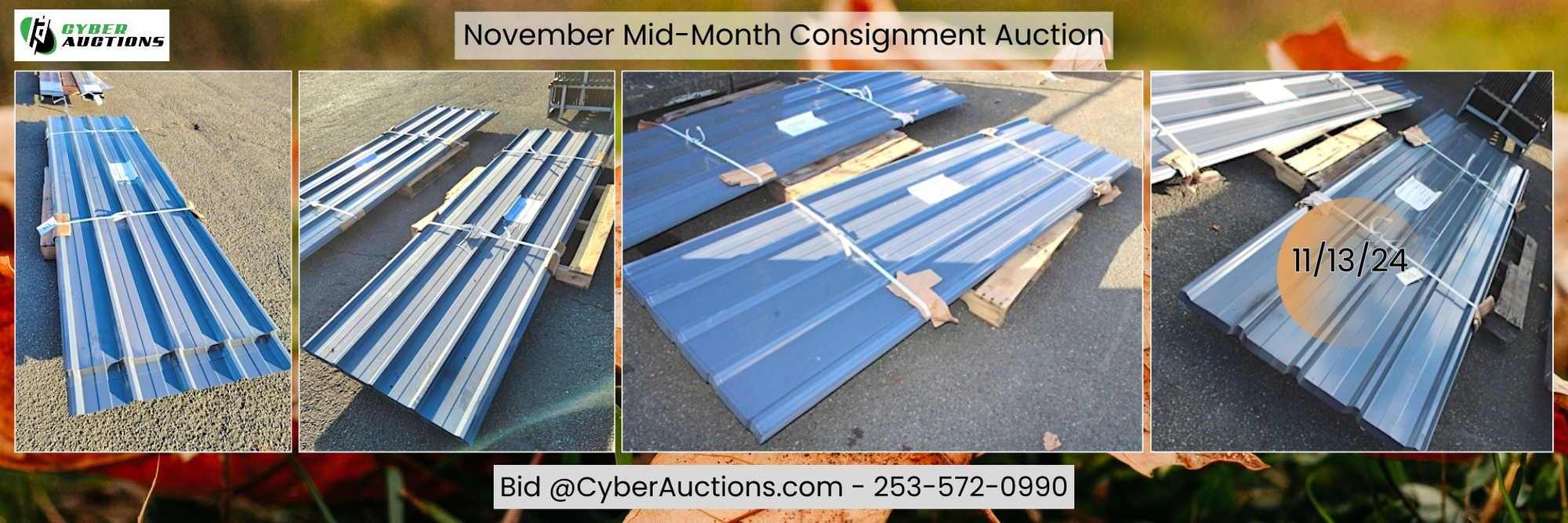 November Mid Month Consignment Auction (17)